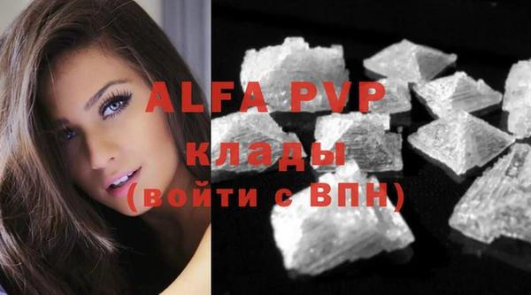apvp Алзамай