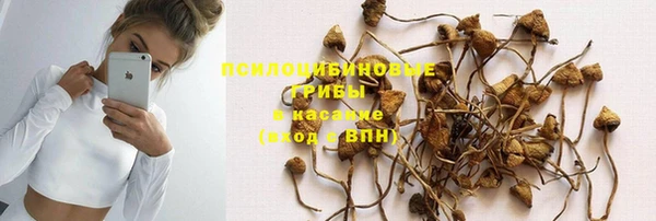 apvp Алзамай