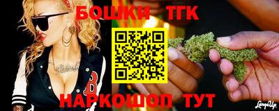 индика Гагарин