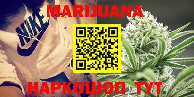 индика Гагарин