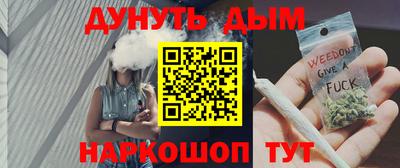 индика Гагарин