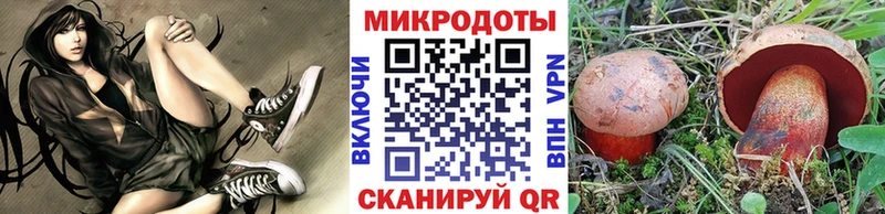 сколько стоит  Похвистнево  Галлюциногенные грибы Cubensis 