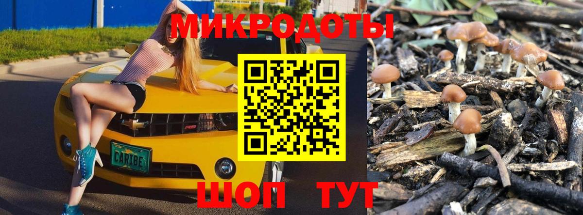 Галлюциногенные грибы ЛСД  Галлюциногенные грибы Psilocybe  Вход с VPN  Похвистнево 
