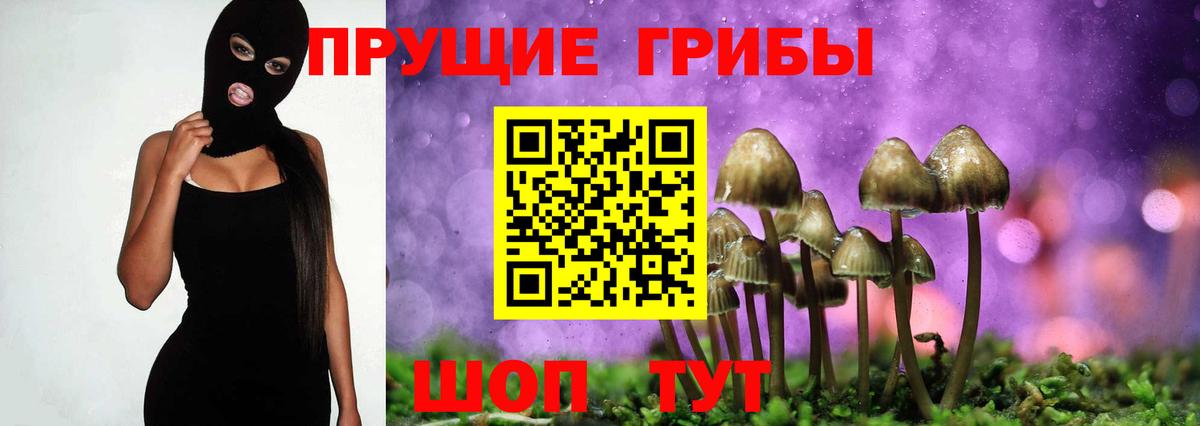 Псилоцибиновые грибы MAGIC MUSHROOMS Похвистнево